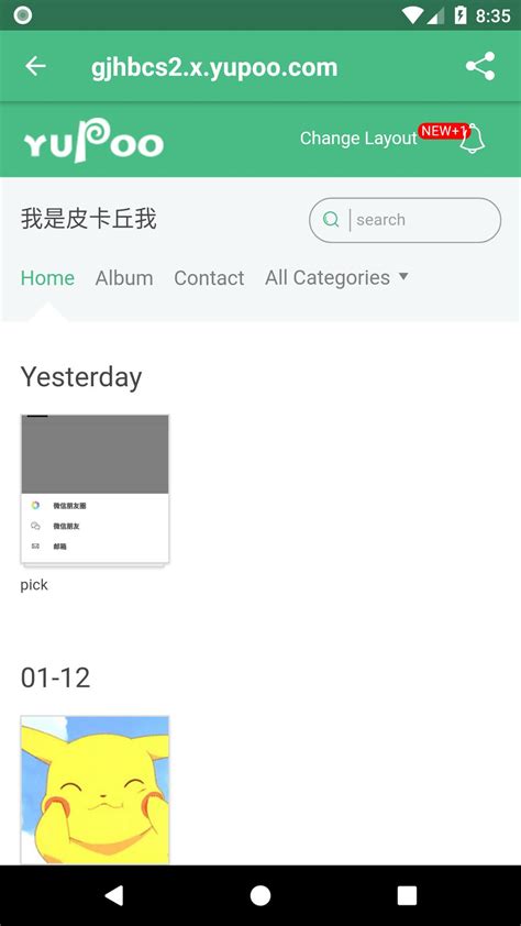 download all photos off yupoo